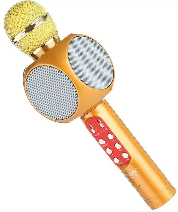 Беспроводной караоке-микрофон с колонкой WSTER WS-1816 Gold (1) - фото 2 - id-p143730634