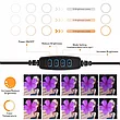 Кольцевая светодиодная лампа 26 см со штативом Ring Fill Light, фото 4