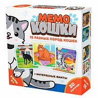 Мемо Нескучные игры Кошки