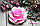 Роза большая 3D - глицериновое мыло ручной работы, фото 8