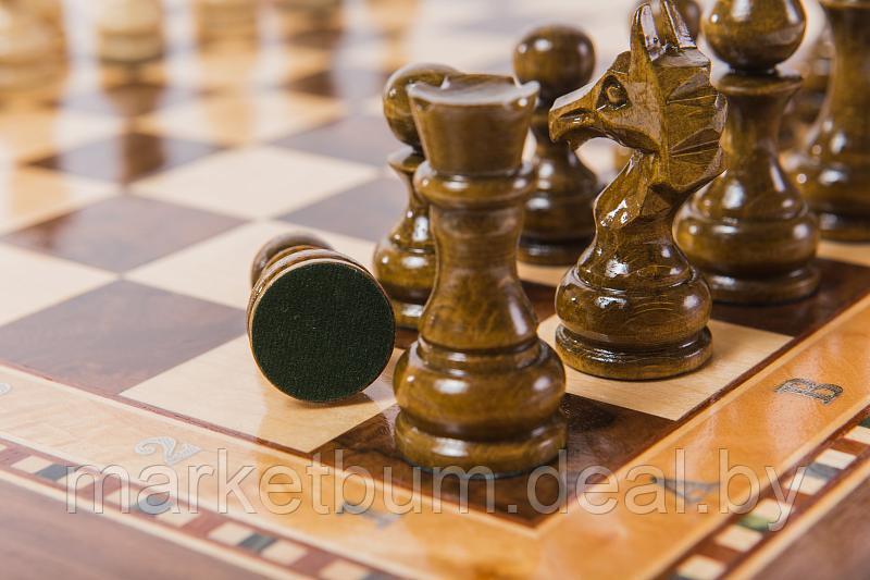 Шахматы Турнирные-2 инкрустация 40, AZ107, Zeynalyan - фото 4 - id-p168589956