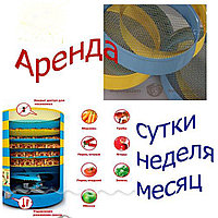 Электросушилка (аренда) для овощей, фруктов, ягод, грибов, орехов, мяса и рыбы элвин су-1 tsg