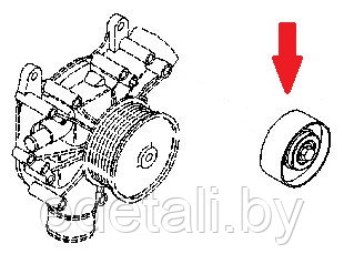 04915533 Ролик натяжителя ремня - фото 3 - id-p168609105
