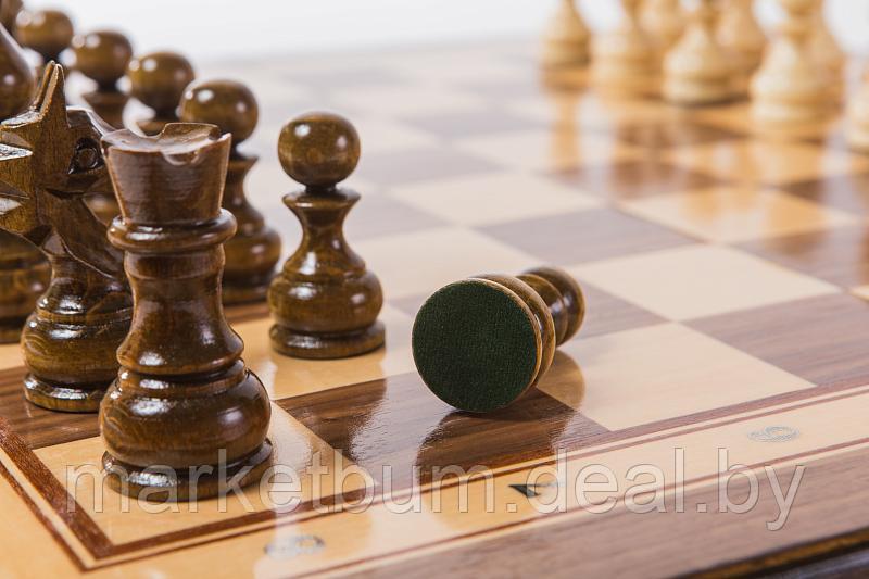Шахматы Турнирные-1 инкрустация 50, Zeynalyan - фото 5 - id-p168609162