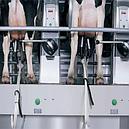 Доильная карусель AutoRotor Magnum 90, фото 3