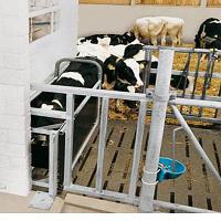 Боксы для телят DairyFeed J - S10 и DairyFeed J - S20