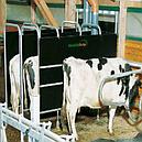 DairyFeed C Комбикормовый автомат, фото 2