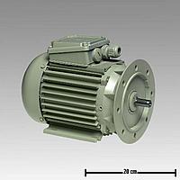 7038-2206-099 Мотор трехфазного тока 0,55kW 3000/3600RPM 230/400V