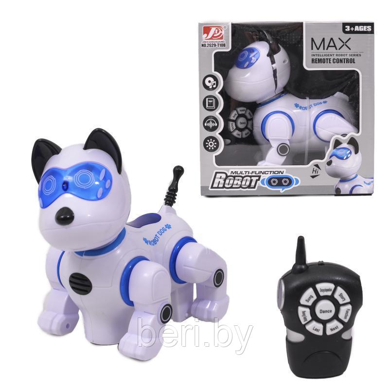 2629-T10B Интерактивная собака-робот, работает от батареек, светозвуковые эффекты, высота 22 см - фото 3 - id-p168680243