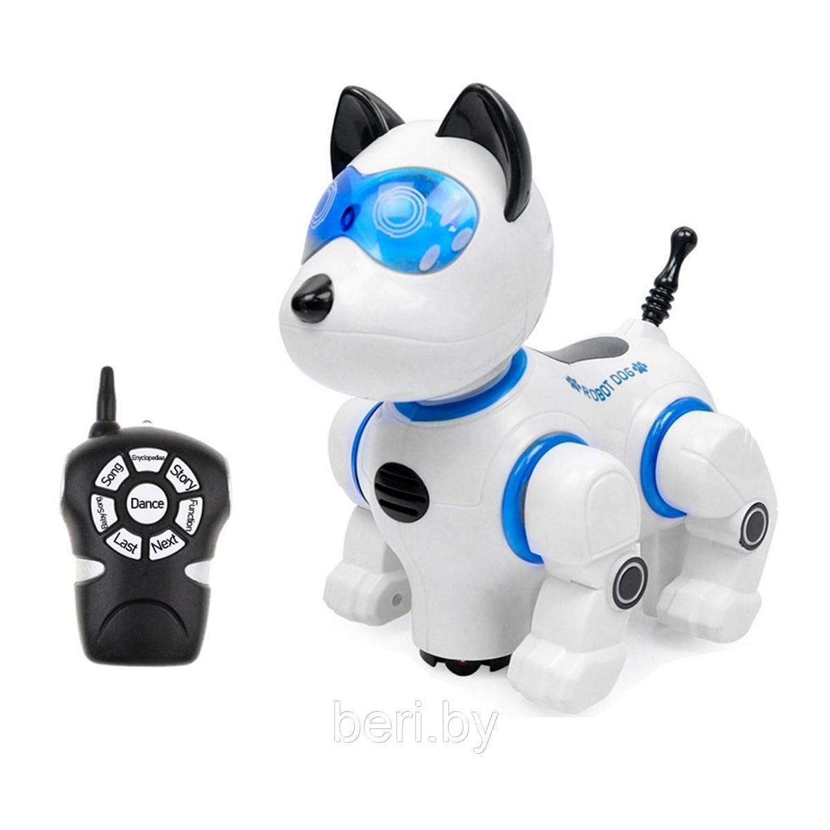 2629-T10B Интерактивная собака-робот, работает от батареек, светозвуковые эффекты, высота 22 см - фото 4 - id-p168680243