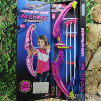 Игровой набор: Светящийся лук и стрелы на присосках Archery Set 881-23A, 6 Розовый