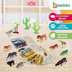 Набор животных с обучающими карточками «Дикие животные разных стран», животные пластик, карточки, по методике