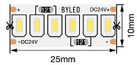 Лента светодиодная Byled Standart 3014, 240 LED/м, 24 Вт/м, 24В, IP20