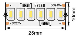 Лента светодиодная Byled Standart 3014, 240 LED/м, 24 Вт/м, 24В , IP20, Цвет: