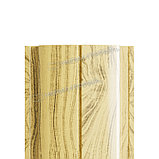 Штакетник металлический МП ELLIPSE 19х126 (прямой/фигурный верх) ECOSTEEL, фото 3