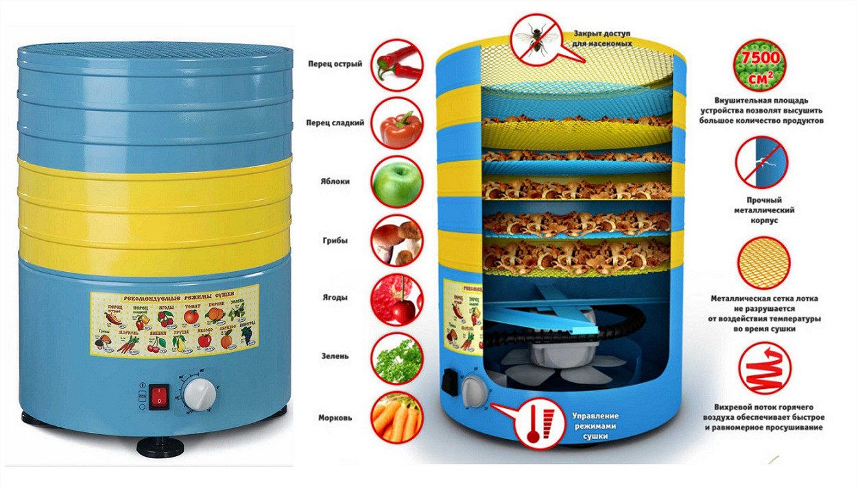 Электросушилка (аренда) для овощей, фруктов, ягод, грибов, орехов, мяса и рыбы элвин су-1 tsg - фото 3 - id-p157398469