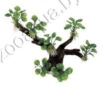 ArtUniq Branched Driftwood With Anubias nana M1 - Декоративная композиция из пластика "Ветвистая коряга с - фото 1 - id-p95967569