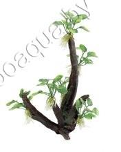 ArtUniq Toll Branched Driftwood With Anubias nana M - Декоративная композиция из пластика "Высокая ветвистая