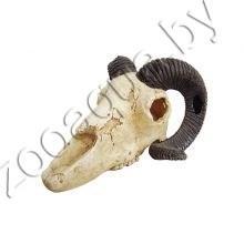 ArtUniq Ram Skull - Искусственная декорация "Череп барана"