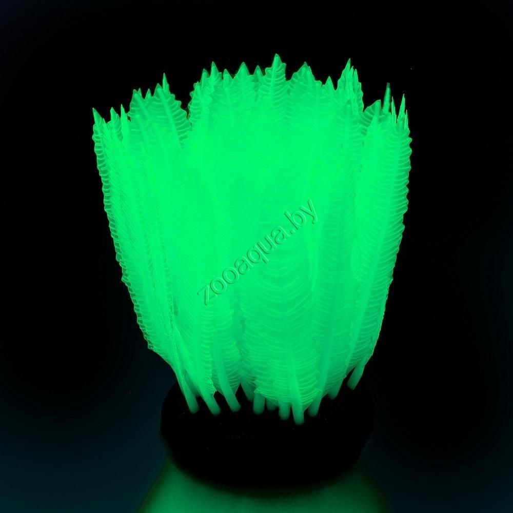 GL-268230 GLOXY Морская лилия зеленая, 10х7,5х11см Флуорисцентная аквариумная декорация - фото 2 - id-p98318185