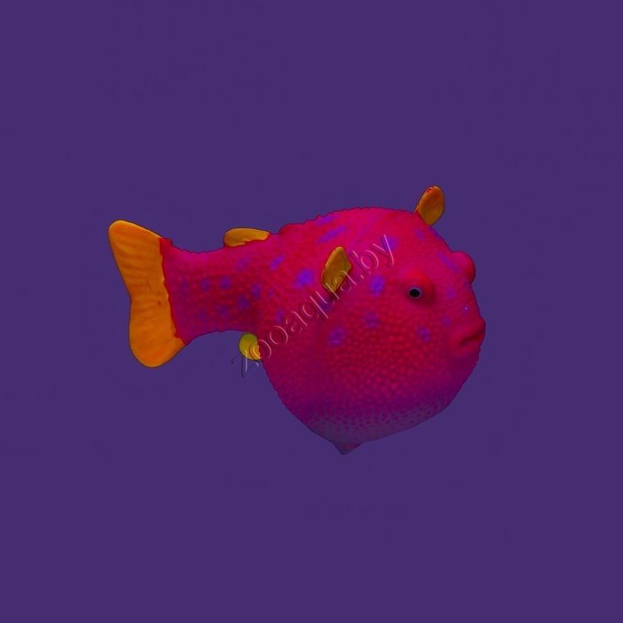 GL-268346 GLOXY Рыба шар на леске розовая, 8х5х5,5см Флуорисцентная аквариумная декорация - фото 2 - id-p98318192