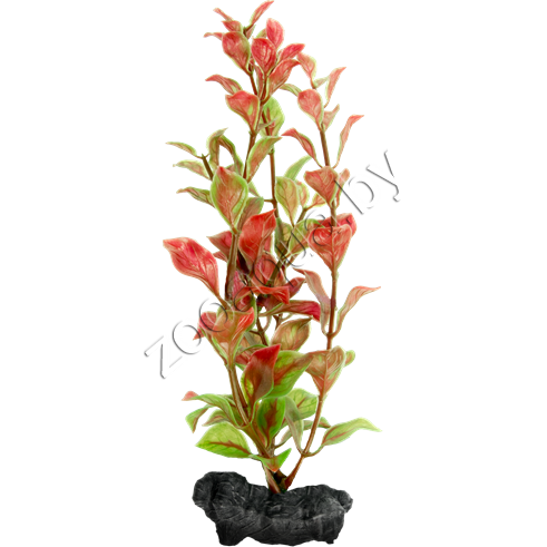 Tetra Tetra DecoArt Plantastics Red Ludvigia L/30см, растение для аквариума - фото 2 - id-p98318212