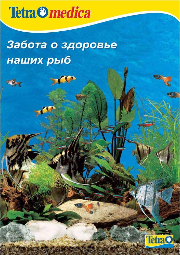 Tetra Брошюра Tetra "Забота о здоровье наших рыб"