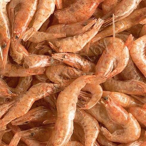 Tetra TETRA ReptoDelica Shrimps 250ml/20g деликатес из креветок - фото 2 - id-p95967745