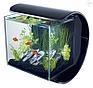 Tetra Аквариум  Tetra Silhouette LED Tank 12л "Силуэт",  24х18х23 см., свет LED12W, фильтр Easy Crystal, фото 4