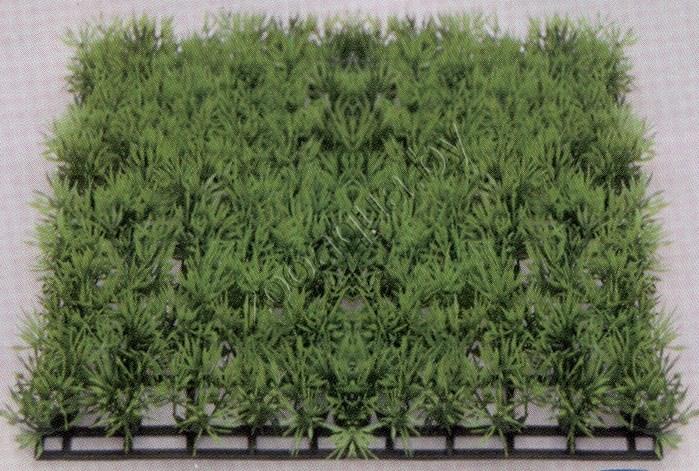 Vitality Растение пластиковое Коврик 12,5х25см, зеленое