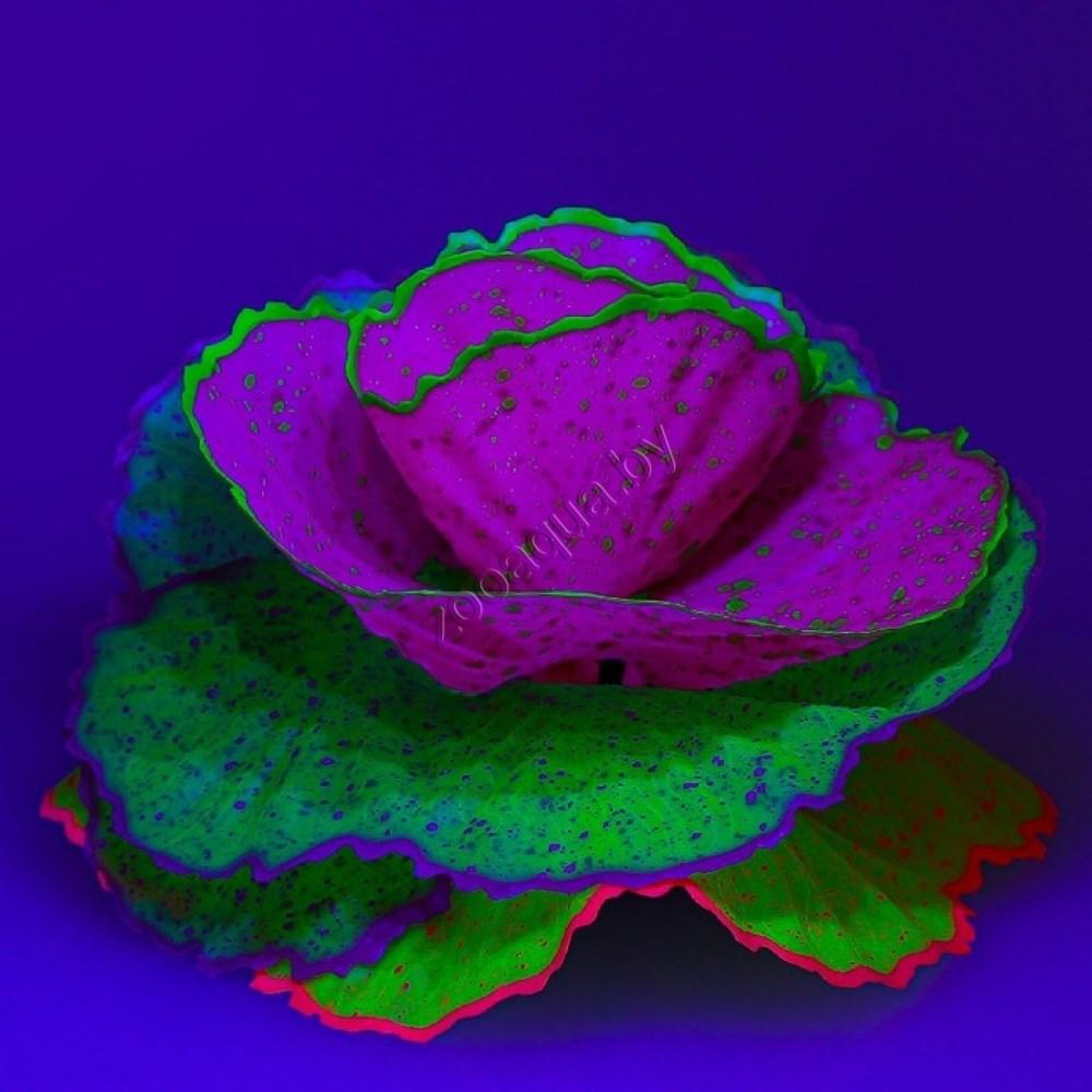 Флуоресцентная аквариумная декорация GLOXY Морской салат разноцветный 11x8x12 см - фото 2 - id-p125536877