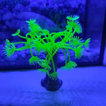 Коралл силиконовый зеленый 3.5х3.5х14см (SH139G)