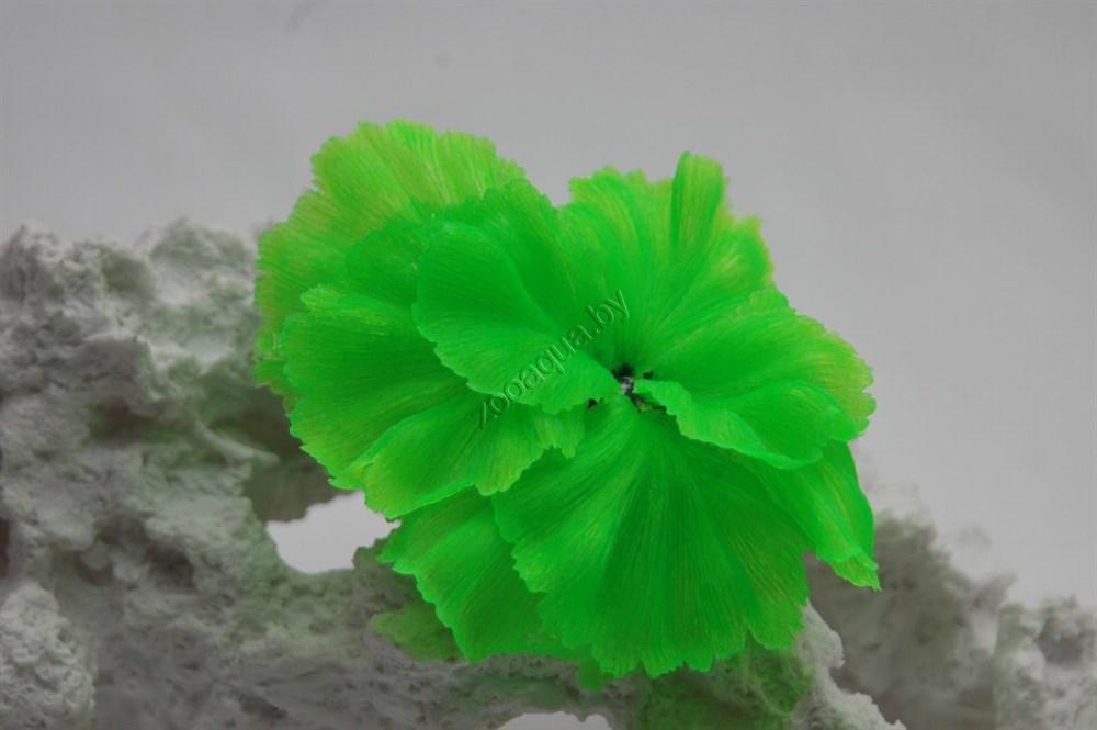 Коралл силиконовый зеленый 14х11х9см (SH205SG) - фото 2 - id-p125281494