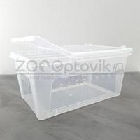 NOMOY PET Террариум для пауков и улиток пластиковый Big feeding box 32х22х15см