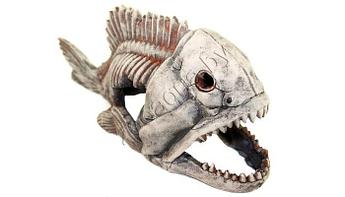 Deksi Скелет рыбы №904