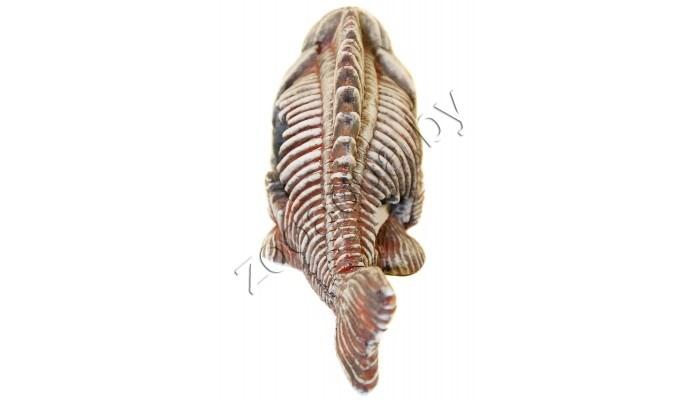Deksi Скелет рыбы №904 - фото 3 - id-p103967910
