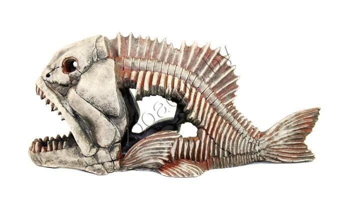 Deksi Скелет рыбы №904 - фото 4 - id-p103967910
