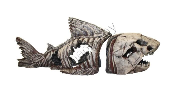 Deksi Скелет рыбы №999 - фото 3 - id-p103967912