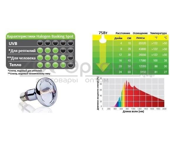 Hagen EXO-TERRA Лампа дневного света Halogen Basking Spot 150 Вт - фото 2 - id-p168936891