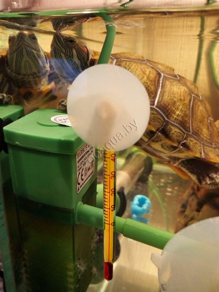 Barbus Термометр стеклянный тонкий малый с присоской в блистере, 8 см Accessory 004 - фото 3 - id-p113002412