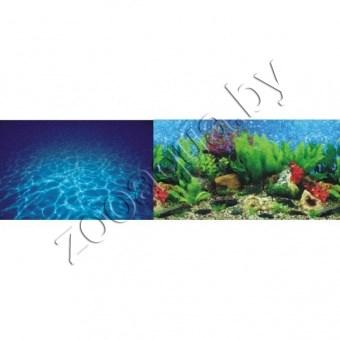 Barbus Морская лагуна/Гавайи 60см