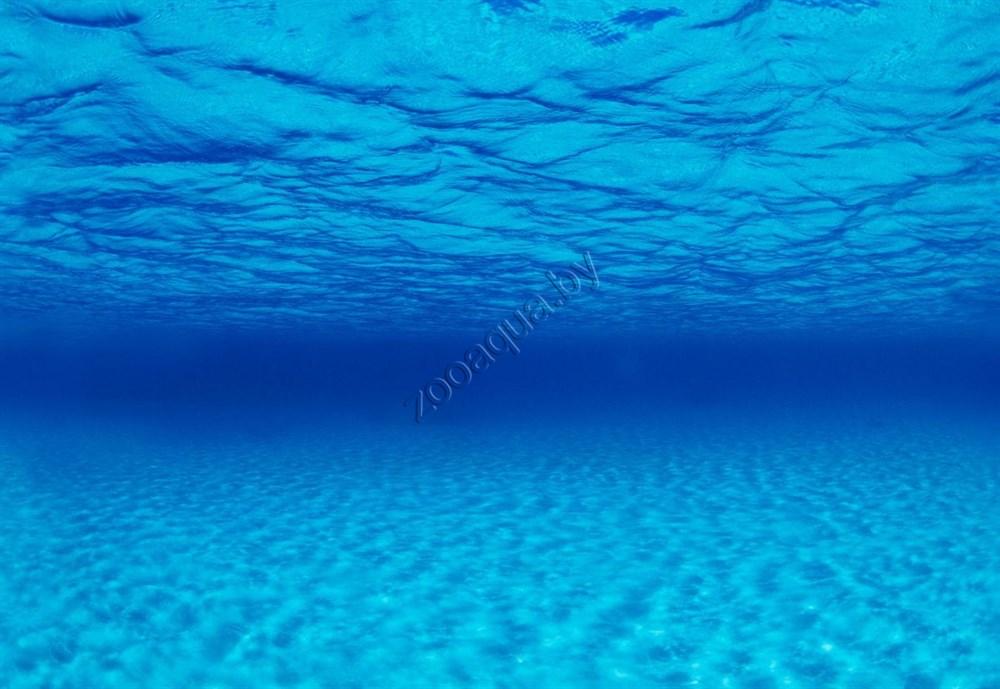 Barbus Background 050/30 (73/74) Морская лагуна/Натуральная мистика 30см на 1м. - фото 2 - id-p109715886