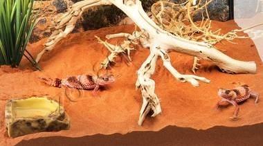 EXO-TERRA Песок для террариумов Desert Sand красный 4,5 кг - фото 4 - id-p139493831