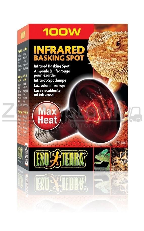 EXO-TERRA Лампа инфракрасная Infrared Basking Spot 100 Вт - фото 3 - id-p148739678
