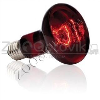 EXO-TERRA Лампа инфракрасная Infrared Basking Spot 100 Вт - фото 5 - id-p148739678