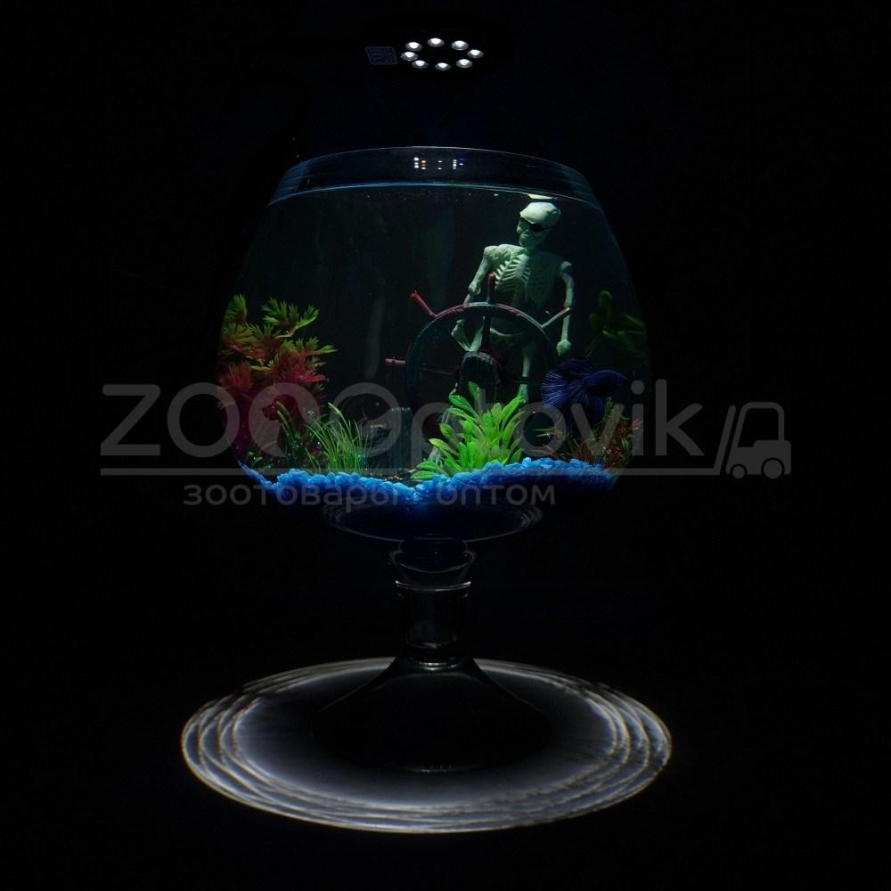 AQUA Аквариум Aqua бокал на 5 л. готовый комплект c рыбкой петушок и декором - фото 4 - id-p168936837