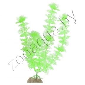GLOFISH Растение пластиковое GLOFISH флуоресцентное зеленое 20,32см - фото 1 - id-p139493847