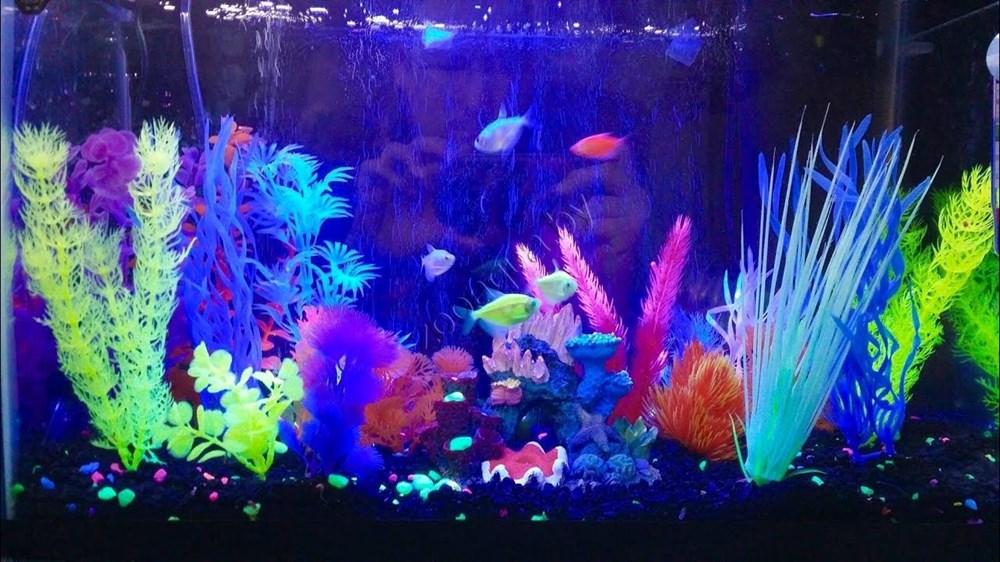 GLOFISH Растение пластиковое GLOFISH флуоресцентное зеленое 20,32см - фото 3 - id-p139493847