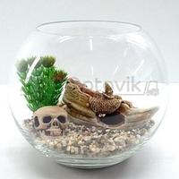 Аквариум Aqua круглый на 5 л. готовый комплект 5