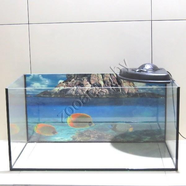 AQUA Террариум для сухопутной черепахи Aqua на 100 л. с крышкой - фото 1 - id-p121584490